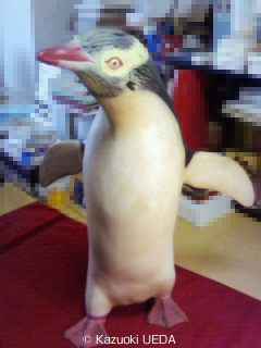 キガシラペンギン模型