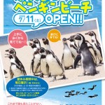 ふれあいペンギンビーチ