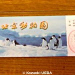 入場券 ペンギン