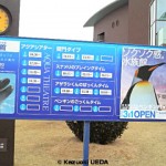 ペンギン村 看板