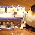 POLAR PALS：PENGUIN1