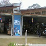 Sea Shop