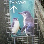 メルボルン動物園バナーペンギン施設