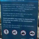 コガタペンギンの保護区の看板など