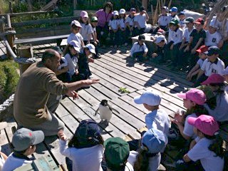 施設を訪れた子どもたちとイワトビペンギン
