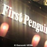 First Penguin01