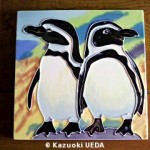 ペンギンの「陶器のカラータイル」