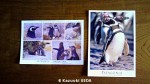 マゼランペンギンのポストカード