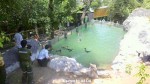 2011年1月のメトロポリタン動物園のペンギン展示施設の様子1