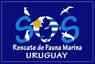 Rescate de Fauna Marina Uruguay