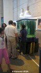 サンチアゴ水族館ボランティアの解説
