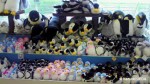 ペンギンぬいぐるみ-マリンピア松島水族館売店