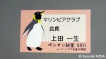 ペンギン教室ネームプレート
