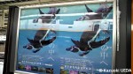 東京駅ホームの葛西臨海水族園のポスター・フンボルトペンギン