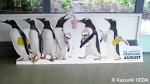 「ポッパーさんのペンギン」宣伝用ポスター・バナー