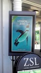 ロンドン動物園-ペンギンの看板