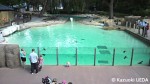 ロンドン動物園-ペンギンプール