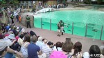 ペンギントーク会場