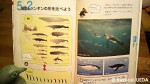 『ルークの冒険〜カタチのフシギ〜』(三谷宏治著、実務教育出版、2011年３月)