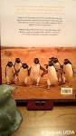 『PENGUINS The Secret Lives of the World's Most Intriguing Birds』(Brutus Ostling、Susanne Akesson、Collins、2007年)