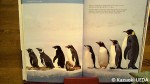 『Antarctic Wildlife』(James Lowen著、WILDGuides Ltd.、2011年)