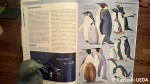 『A Complete Guide to Antarctic Wildlife』(Hadoram Shirihai著、A&C Black London、2007年)