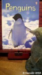 『Penguins』(Emily Bone著、Jenny Cooper、Tim Haggerty絵、Usborne House、2009年)
