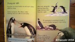 『Penguins』(Emily Bone著、Jenny Cooper、Tim Haggerty絵、Usborne House、2009年)