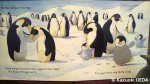 『Penguins』(Fiona Watt作、Victoria Ball画、Usborn Publishing Ltd.、2009年)