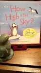 『How High is the Sky?』