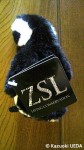 「ZSL」というタグをつけてるロンドン動物園のケープくん