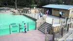 ロンドン動物園ペンギン飼育施設