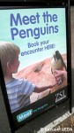 ロンドン動物園-体験ツアーの看板