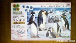 COLORATA社製「ペンギンズ・オブ・ザ・ワールド」シリーズジグソーパズル