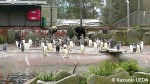 2011・エディンバラ動物園訪問08