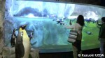 水族館の展示1