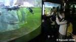 水族館の展示2