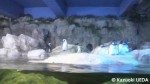 水族館の展示3