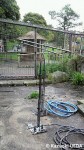 エディンバラ動物園04