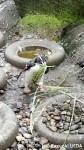 エディンバラ動物園10