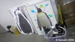 葛西臨海水族園・キングペンギンひな命名記念グッズ