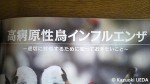 『野鳥2011年11月号』(通巻759号、日本野鳥の会)