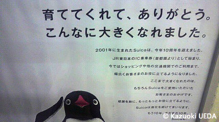 Suicaペンギン10周年記念ポスターはケッコウいいです(^o^)v