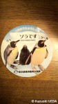 葛西臨海水族園・ソラ記念グッズ