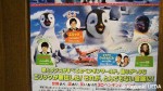 『ハッピーフィート２』のチラシ