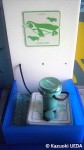 葛西臨海水族園エントランスのスタンプ