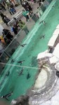 マリンピア松島水族館ペンギンの展示