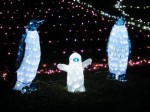 国営昭和記念公園Winter Vista Illumination 2011