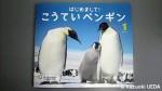 『はじめまして！こうていペンギン』(サンチャイルド・ビッグサイエンス１月号、チャイルド本社、平成24年１月１日発行)