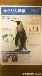 葛西臨海水族園『かさりん通信』